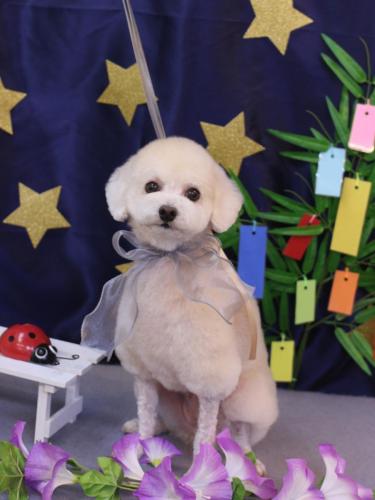 20230708ふぁるくん